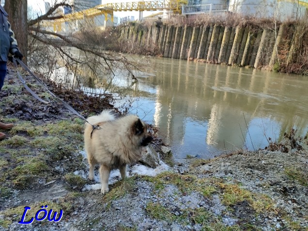 29.12.2023 - Dwix beim Stausee